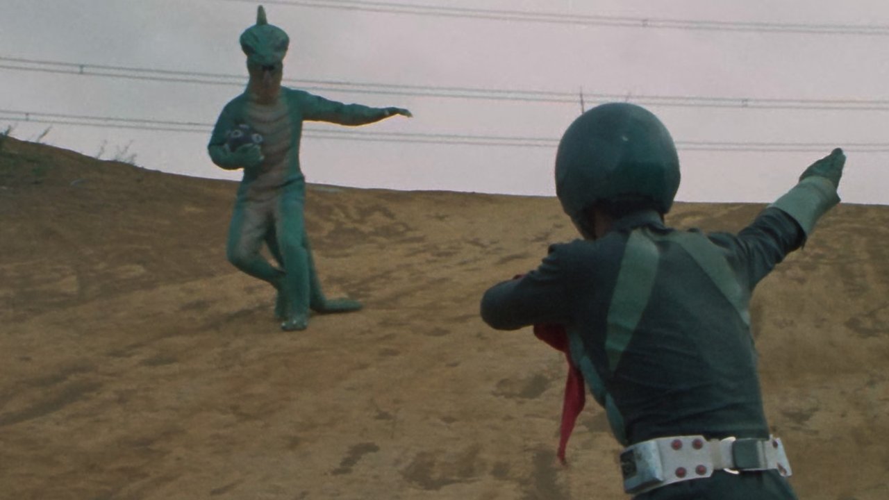 Go Go Kamen Rider