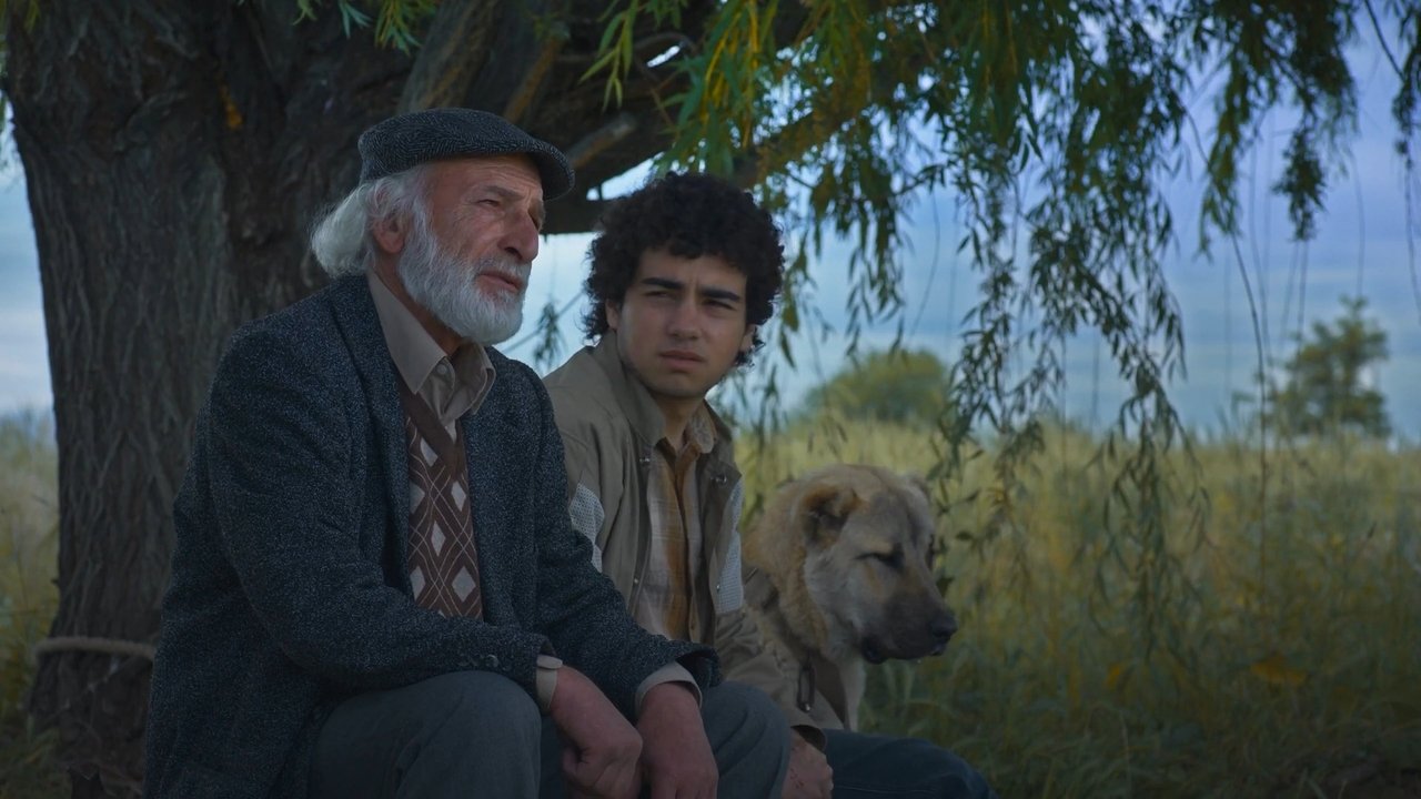 Island Ararat