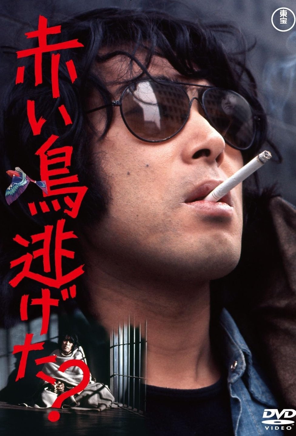 Did the Red Bird Escape? poster