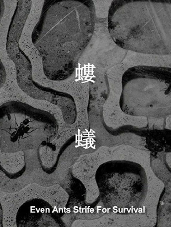 Even Ants Strive for Survival poster