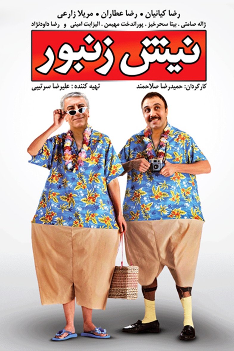 Nish O Zanboor poster
