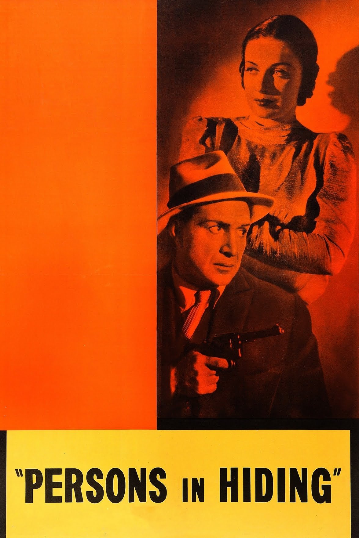 Persons in Hiding poster