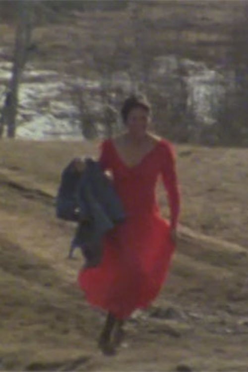 The Red Dress poster