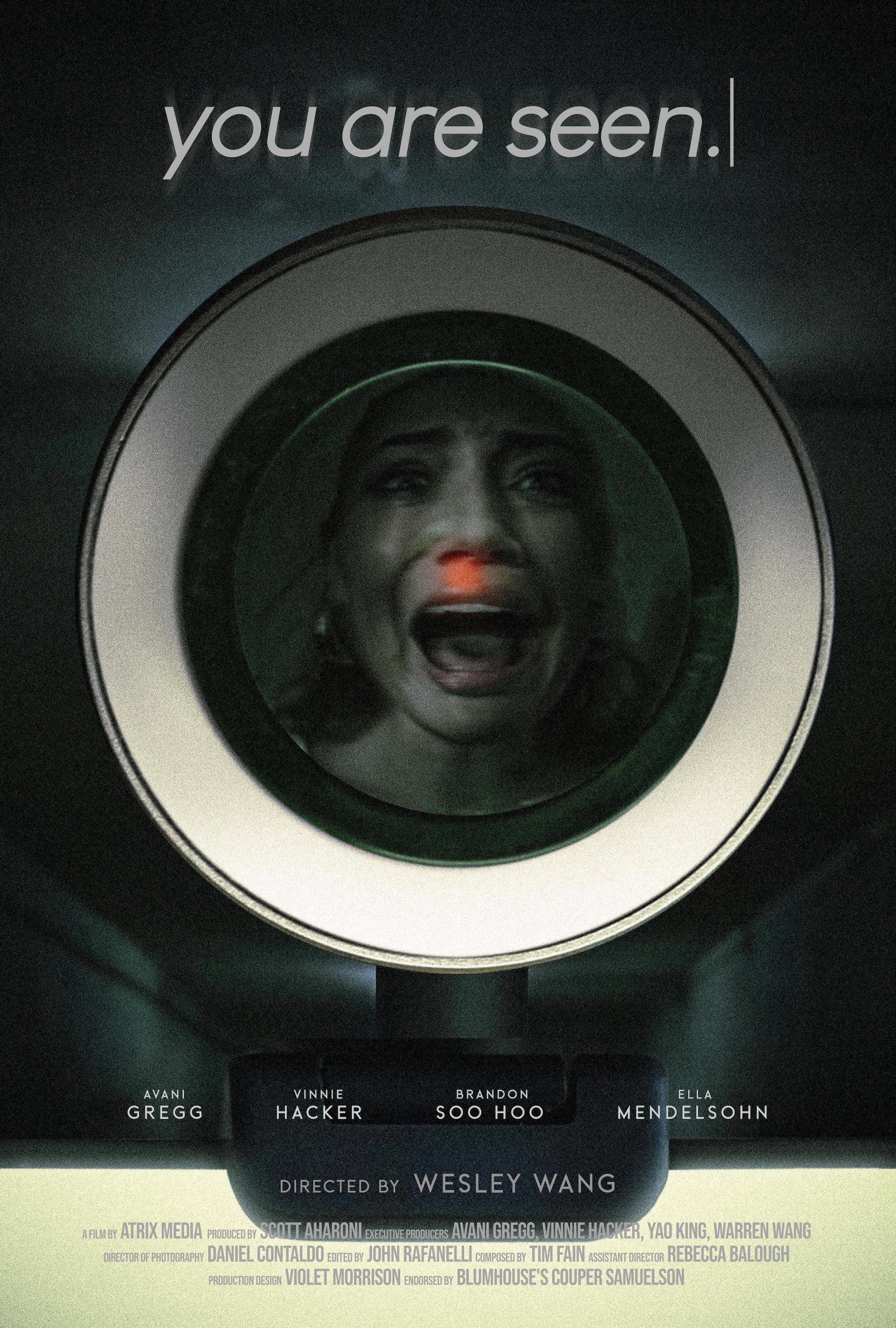 you are seen. poster